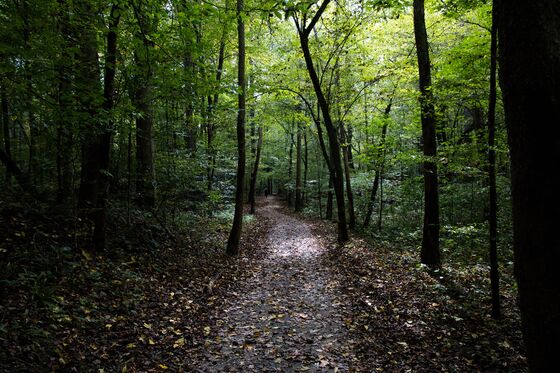 Great Smoky Mountains National Park
