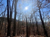Shenandoah National Park