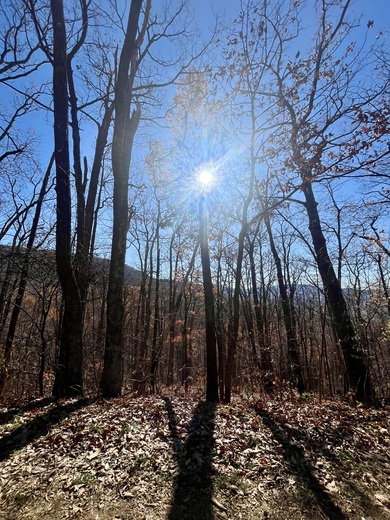 Shenandoah National Park