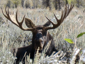 Grand Teton National Park