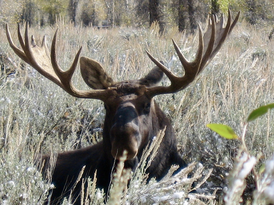 Grand Teton National Park