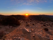 Joshua Tree National Park