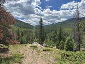 Arapahoe and Roosevelt National Forests