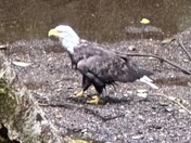 Sitka National Historical Park