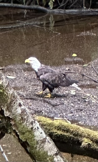 Sitka National Historical Park