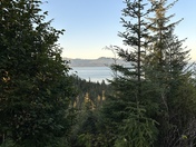 Tongass National Forest