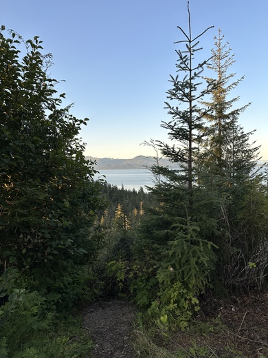 Tongass National Forest