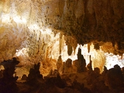 Carlsbad Caverns National Park