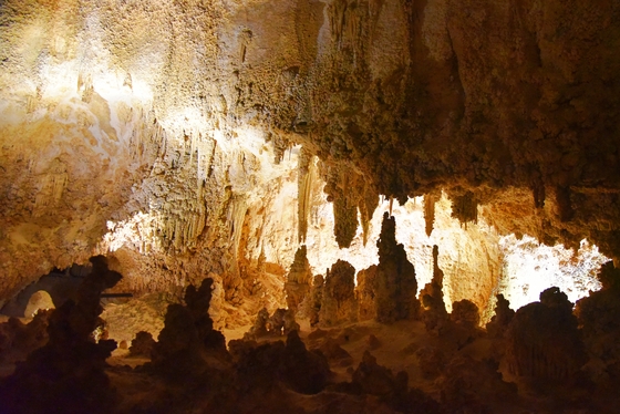Carlsbad Caverns National Park