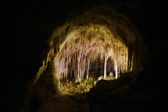 Carlsbad Caverns National Park