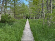 Acadia National Park