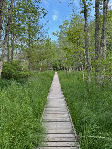 Acadia National Park