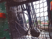 Boston National Historical Park