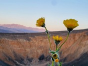 Death Valley National Park