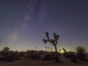 Joshua Tree National Park