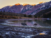 White River National Forest - Maroon Bells Scenic Area