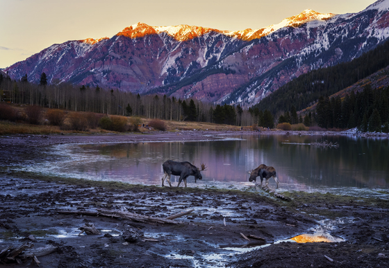 White River National Forest - Maroon Bells Scenic Area