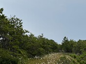 Cape Cod National Seashore