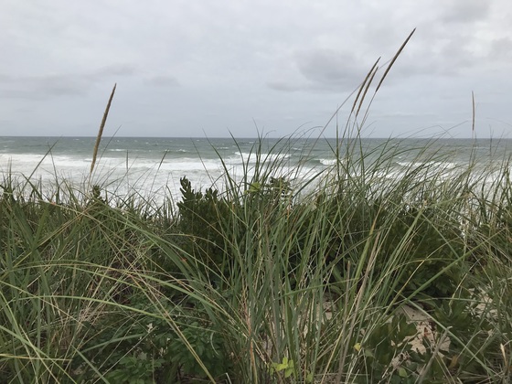 Cape Cod National Seashore