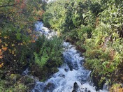 Uinta Wasatch Cache National Forest