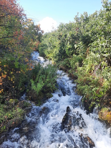 Uinta Wasatch Cache National Forest