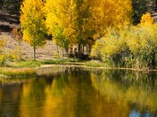 Bassam Ridge Colorado