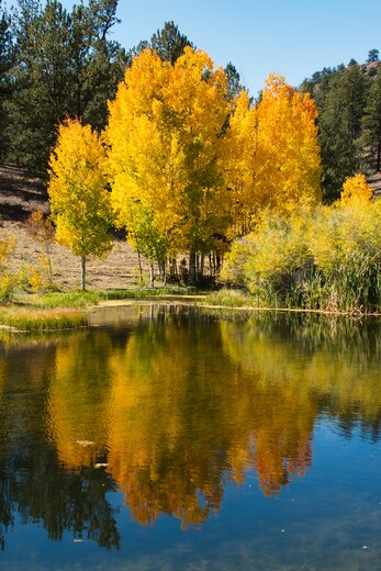 Bassam Ridge Colorado