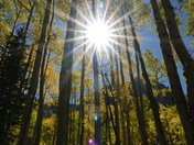 Maroon Bells National Park