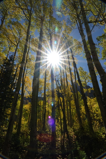 Maroon Bells National Park