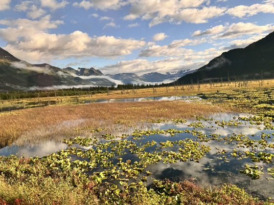 Chugach National Forest, AK 