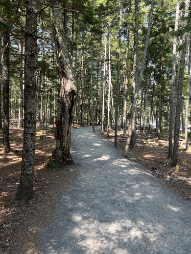 Acadia National Park 