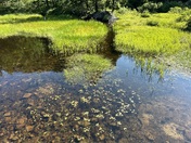 Acadia National Park