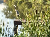 Congaree National Park