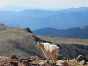 Mount Evans Wilderness Area
