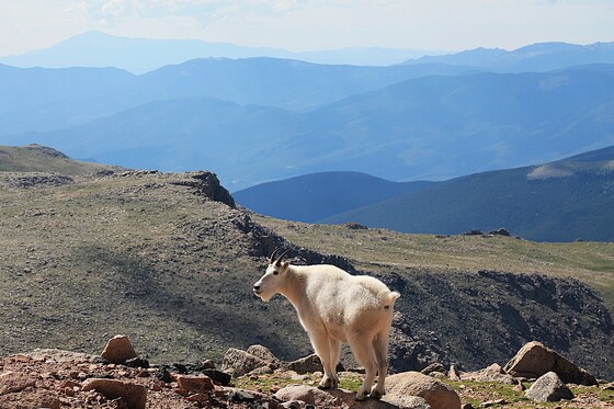 Mount Evans Wilderness Area