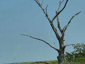 Prime Hook National Park