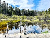 Rocky Mountain National Park