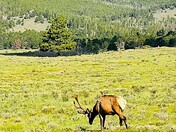 Rocky Mountain National Park