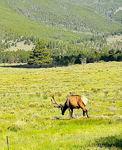 Rocky Mountain National Park