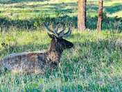 Rocky Mountain National Park