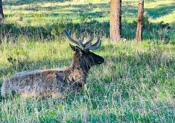 Rocky Mountain National Park