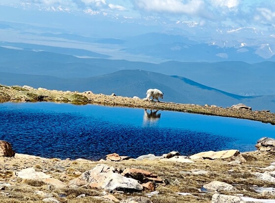 Mount Evans National Wilderness