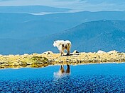 Mount Evans Wilderness Area