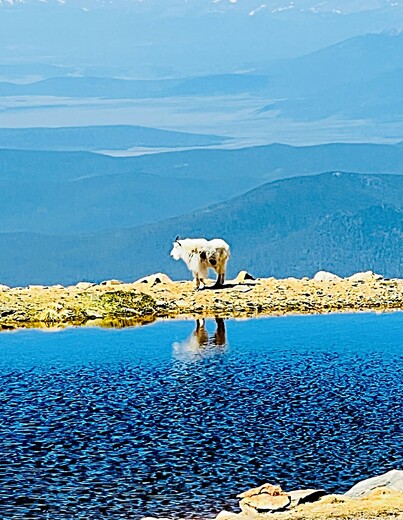 Mount Evans Wilderness Area