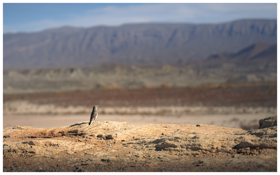 Big Bend National Park