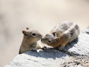 Grand Teton National Park