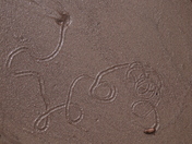 Great Sand Dunes National Park