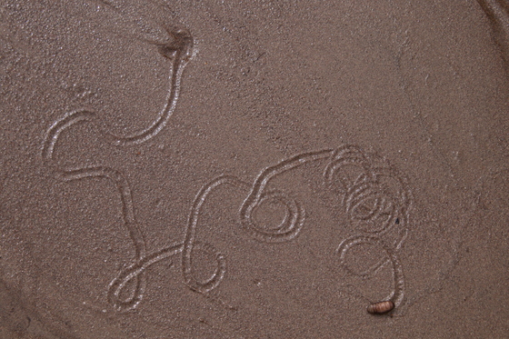 Great Sand Dunes National Park