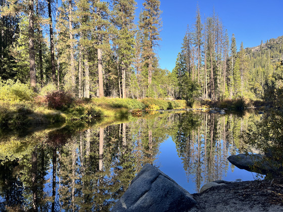 Yosemite National Park
