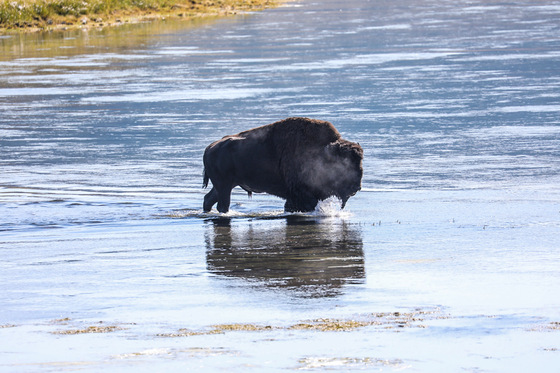Yellowstone National Park